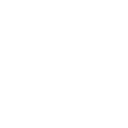 cricket (1)