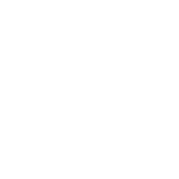 soccer-field (1)